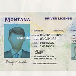 Alberta Id Card Templates - Buy Scannable Fake Id - Fake ID Online