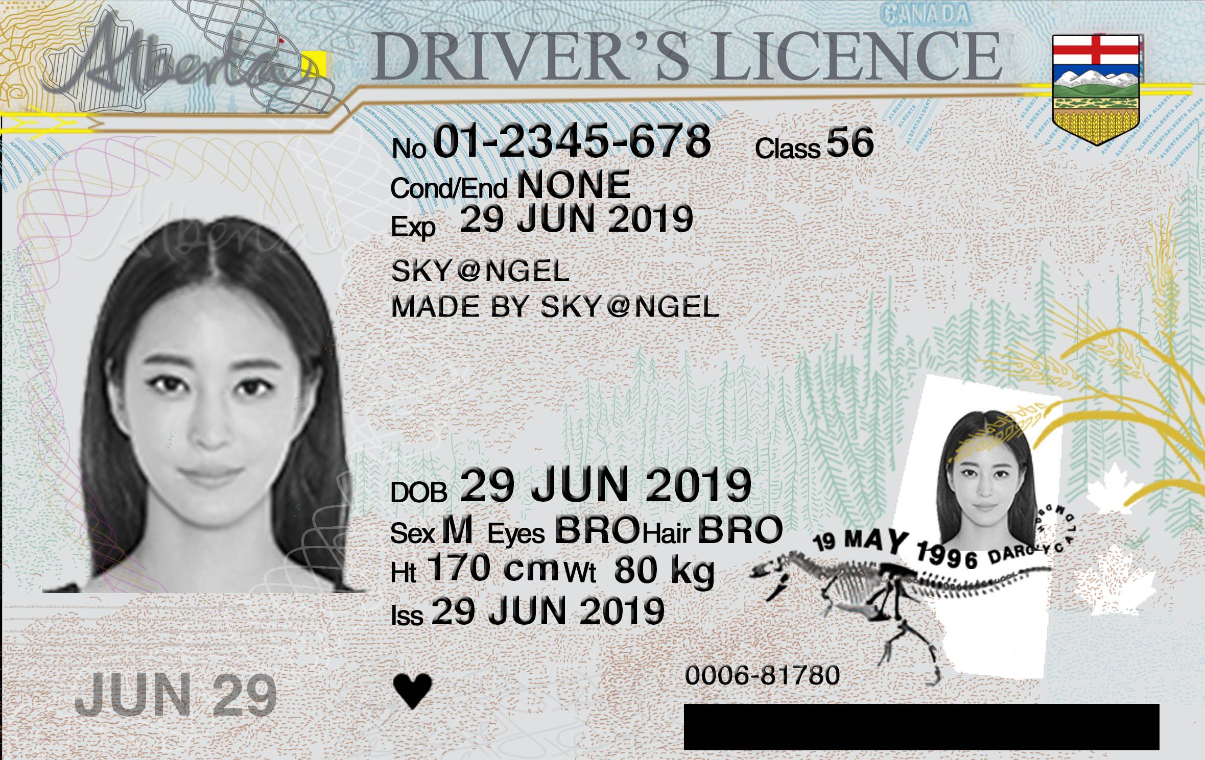 Alberta Id Card Front And Back - Buy Scannable Fake Id - Fake ID Online