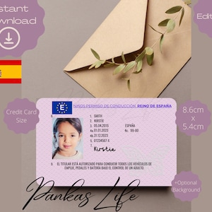 Armenia fake id card