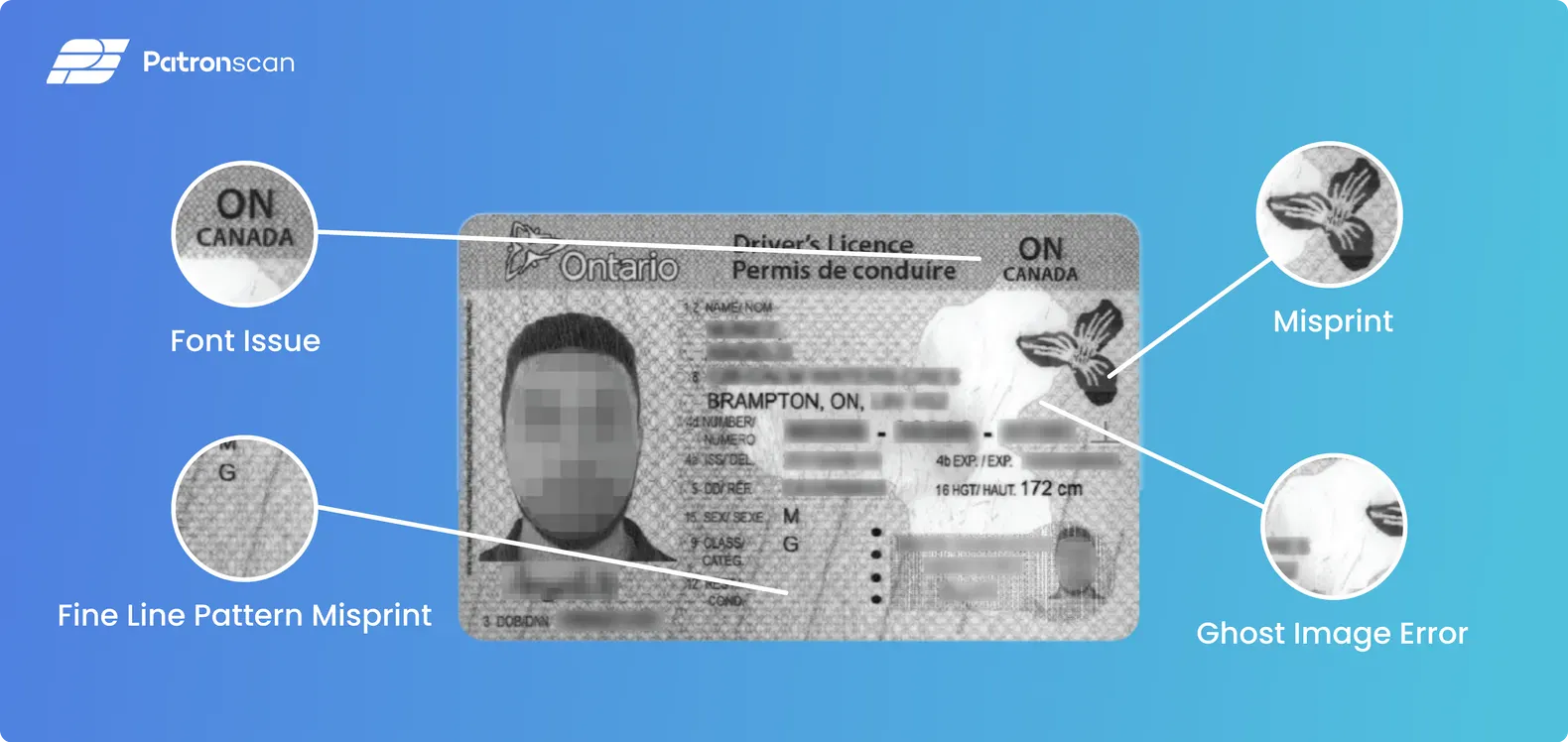 best fake id site