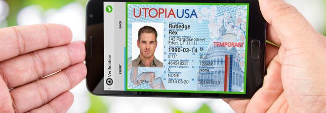Congo fake id card