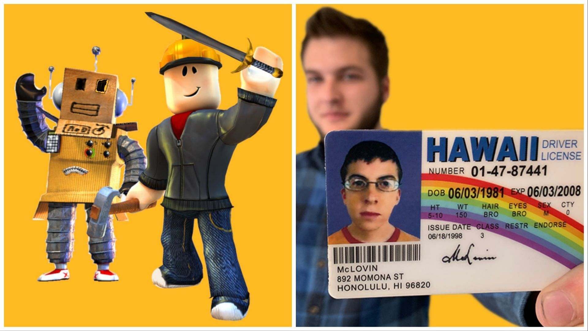 fake id for roblox