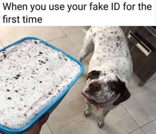 fake id memes