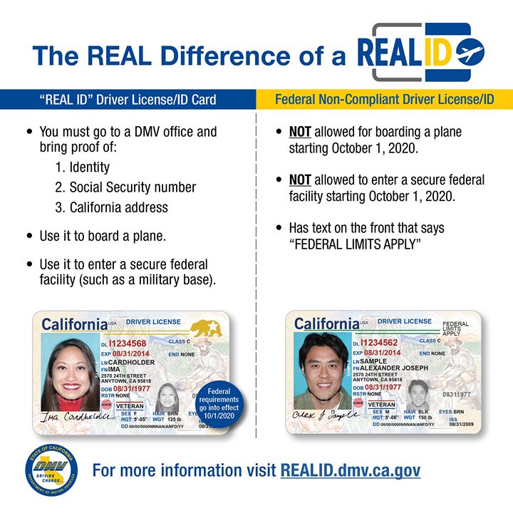 fake id vs real