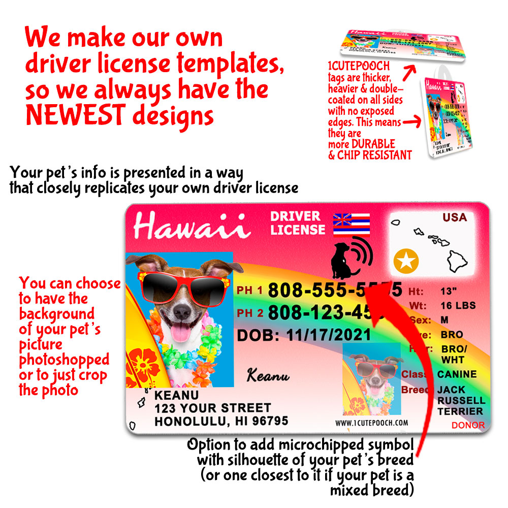 Hawaii Id Card Templates - Buy Scannable Fake Id - Fake ID Online