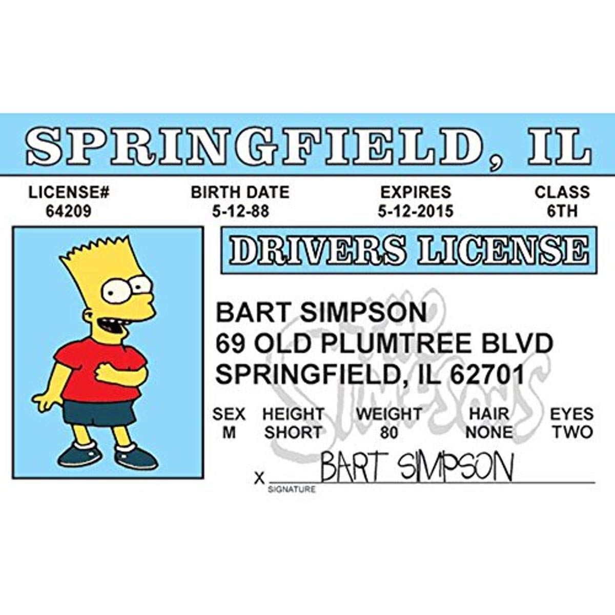 Illinois fake id card