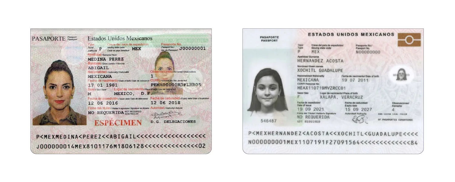 Mexico id card templates