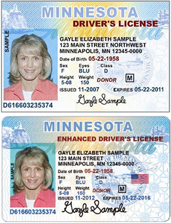 Minnesota id card templates