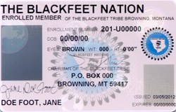Montana fake id card
