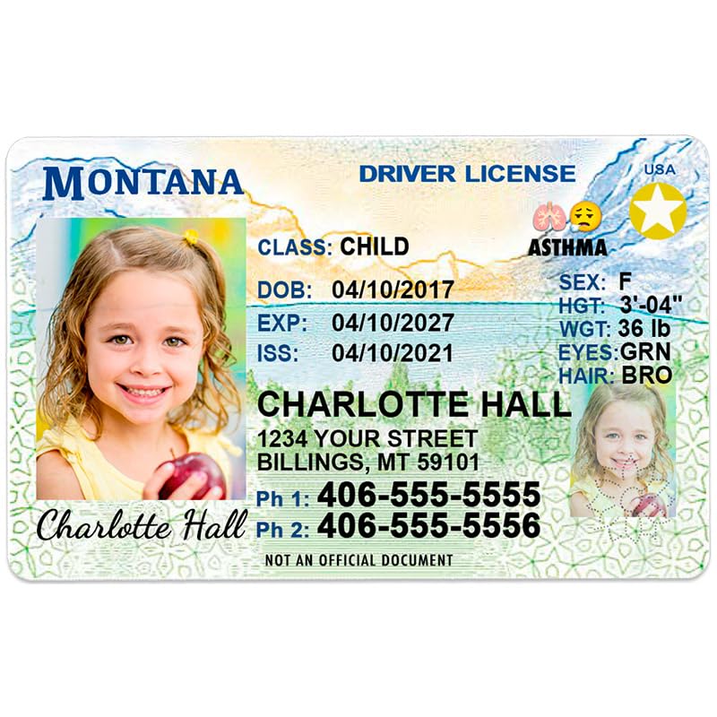 Montana id card front and back