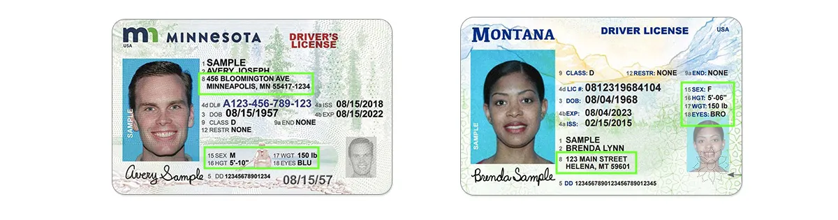 Montana Id Card Front And Back - Buy Scannable Fake Id - Fake ID Online