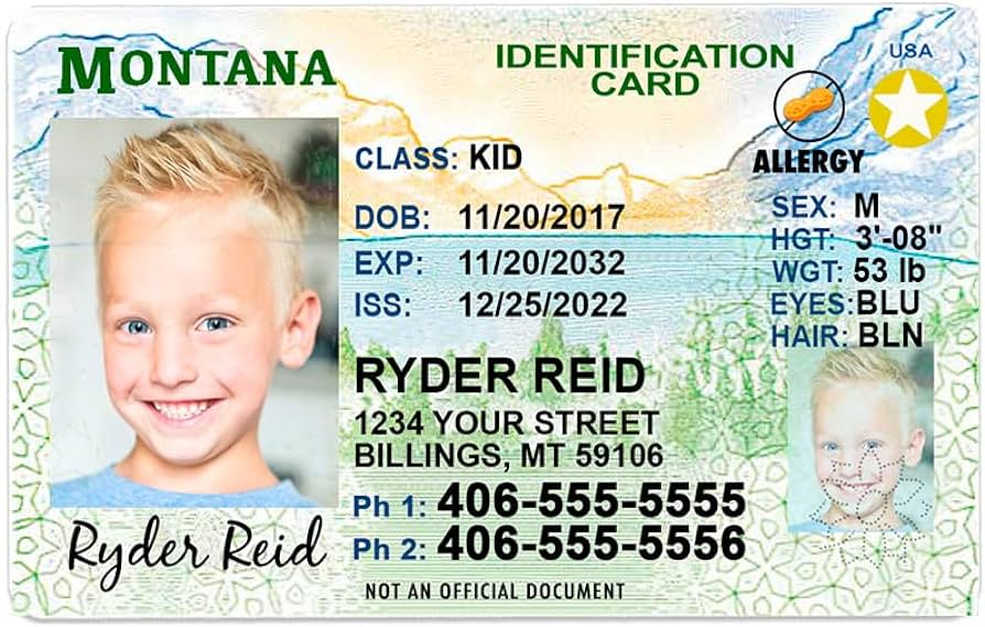 Montana Id Card Front And Back - Buy Scannable Fake Id - Fake ID Online