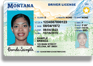 Montana id card front and back