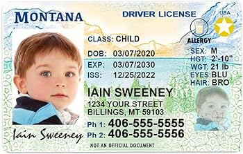 Montana id card front and back