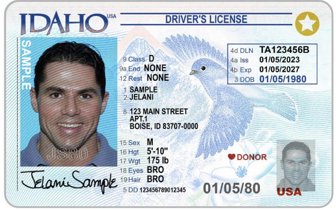 Nevada fake id card