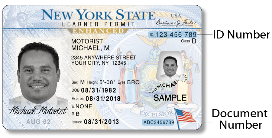 New York id card front and back