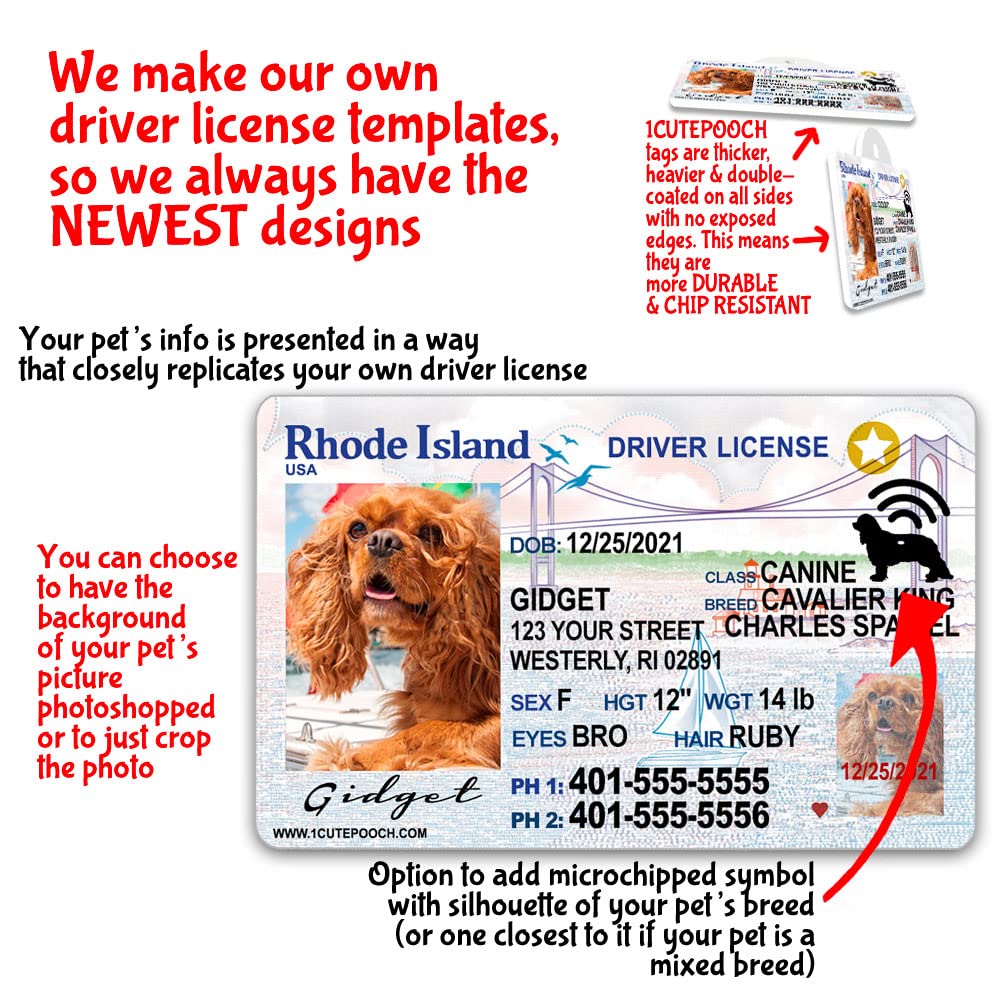 Rhode Island Id Card Templates - Buy Scannable Fake Id - Fake ID Online