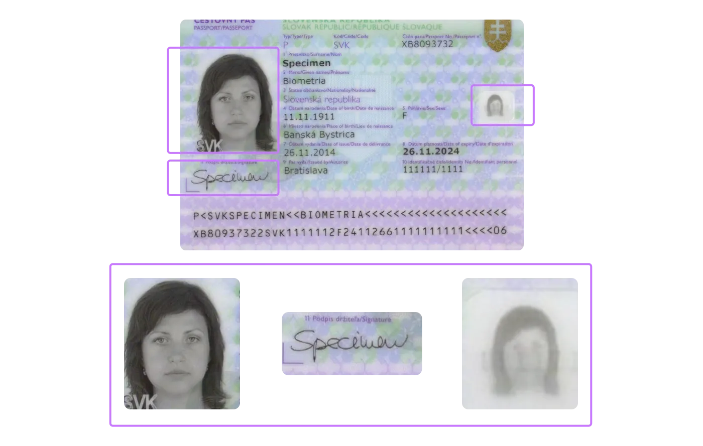 Slovakia fake id card