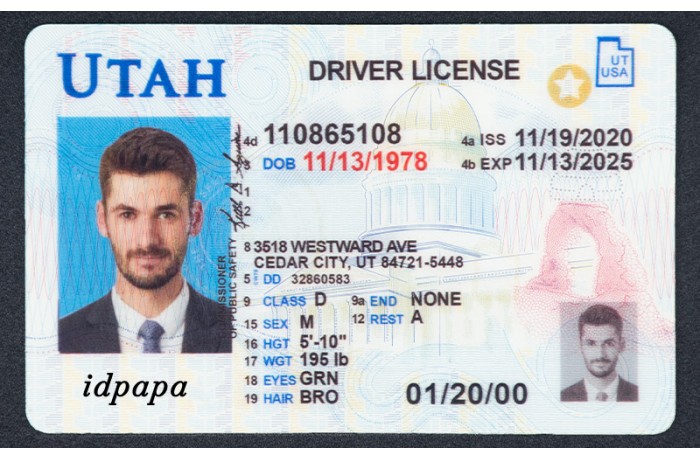 Utah id card front and back