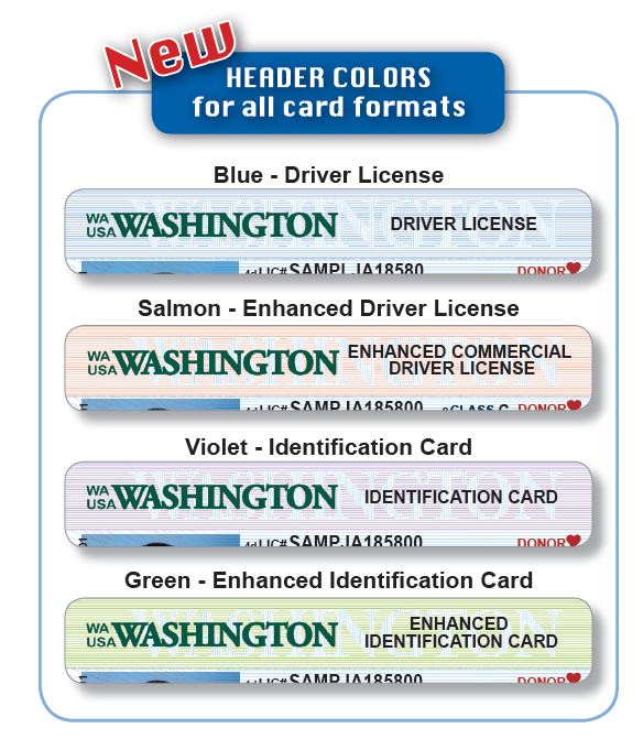 Washington id card front and back